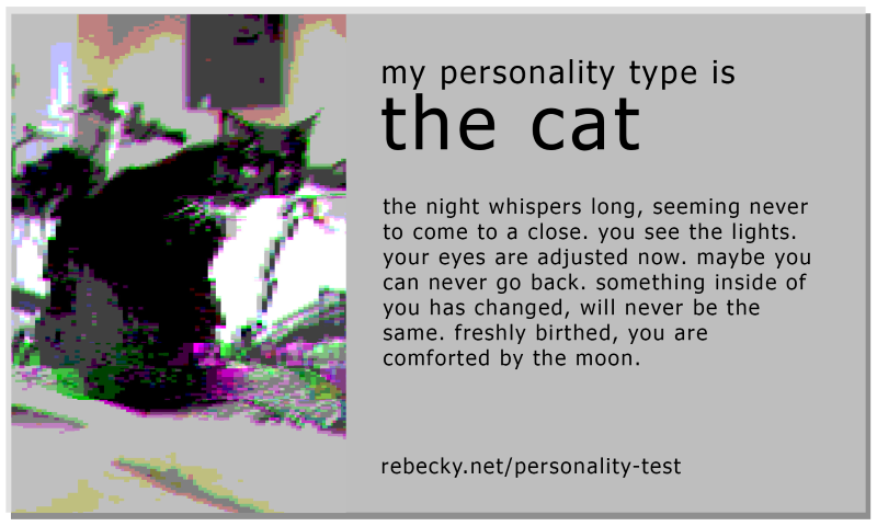 Cat Share